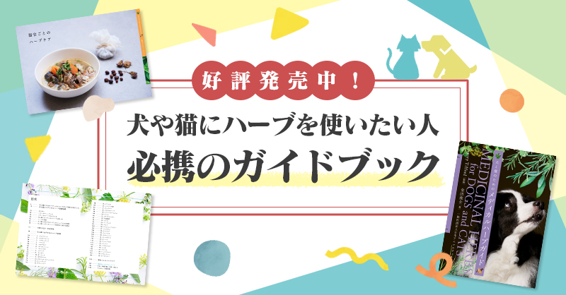 メディカルハーブの輸入・販売のノラ・コーポレーションショッピング